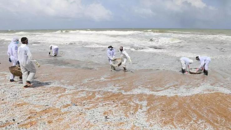 Limpeza de pélets nas costas de Sri Lanka / Arquivo