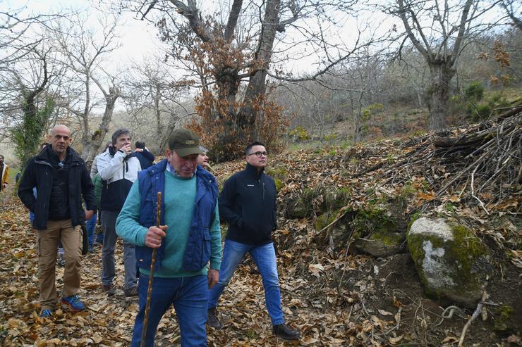 O conselleiro do Medio Rural, José González, visita castiñeiras no Bolo (Ourense).. XUNTA / Europa Press