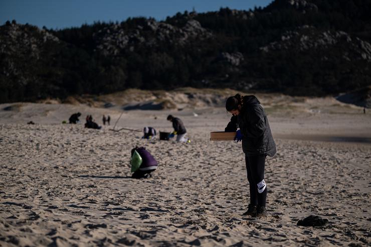 Voluntarios participan na recollida de pellets de plástico nunha praia de Muros / ELENA FERNÁNDEZ - Arquivo / Europa Press