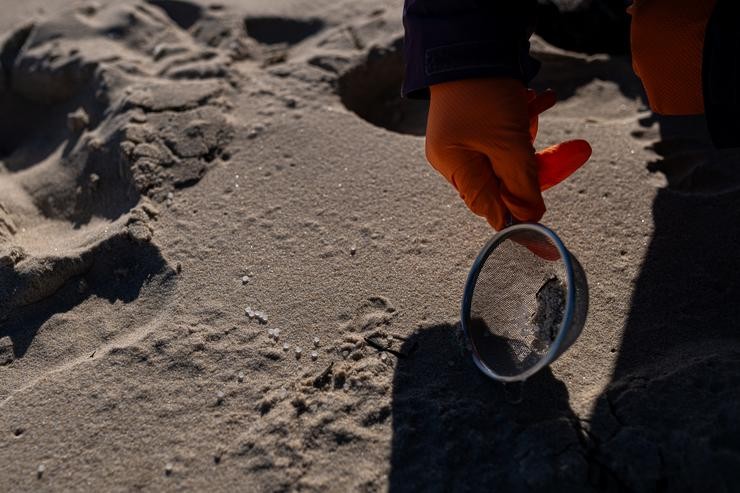 Voluntarios fan unha recollida de pellets da area, Galicia, a 7 de xaneiro de 2024, na Coruña, Galicia (España).. Elena Fernández - Europa Press 