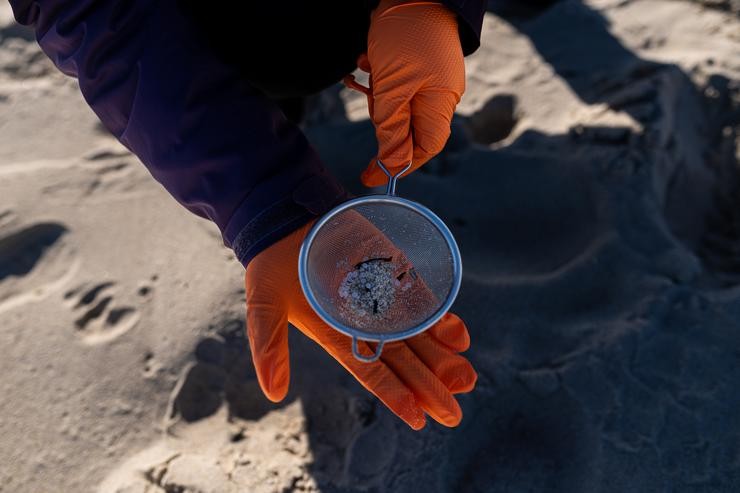 Voluntarios fan unha recollida de pellets de microplásticos e plásticos da area, Galicia, a 7 de xaneiro de 2024, na Coruña,  / Elena Fernández - Europa Press / Europa Press