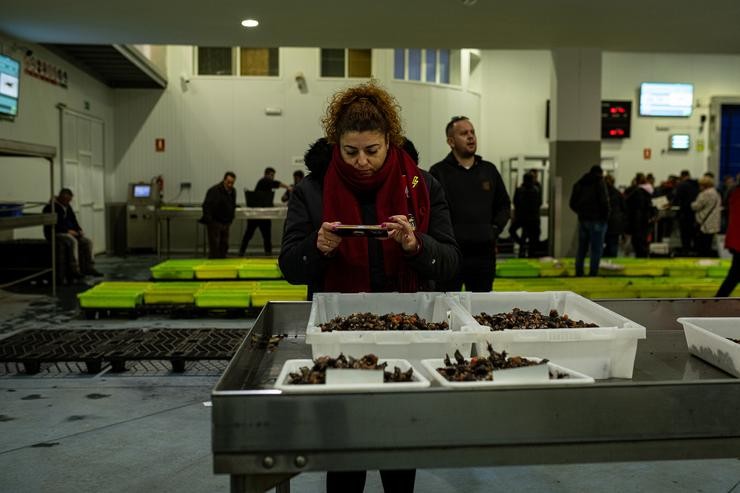 Arquivo - Varias persoas durante a poxa do percebe na lonxa do Grove. Elena Fernández - Europa Press - Arquivo 