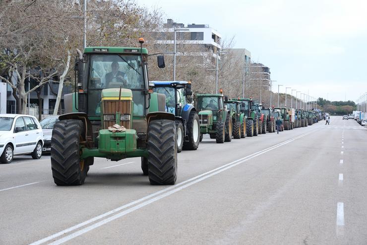Tractores entran por unha estrada ao centro de Palma durante o décimo cuarta xornada de protestas dos tractores nas estradas españolas. Isaac Buj - Europa Press / Europa Press