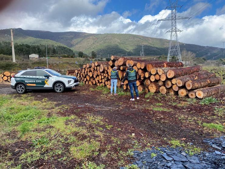 A Garda Civil desarticula un grupo dedicado a tallar árbores en leiras alleas para a súa venda na Rúa (Ourense). GARDA CIVIL / Europa Press