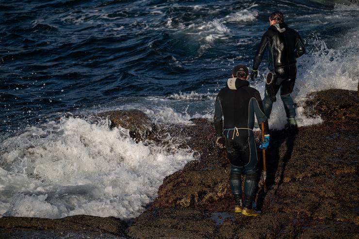 Arquivo - Percebeiros recollen a cría do percebe na costa de Pontevedra, a 14 de decembro de 2023, en Pontevedra, Galicia (España). O prezo do quilo do percebe no mercado é de 110 euros, aínda que en xeral, dependendo do tamaño e a orixe, ou. Elena Fernández - Europa Press - Arquivo / Europa Press