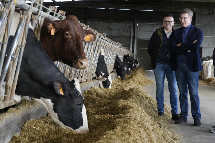 O presidente nacional do PP, Alberto Núñez Feijóo (d), durante unha visita a unha explotación agraria acompañado polo candidato do PPdeG pola provincia de Ourense, José González  /  Álvaro Ballesteros - Europa Press 