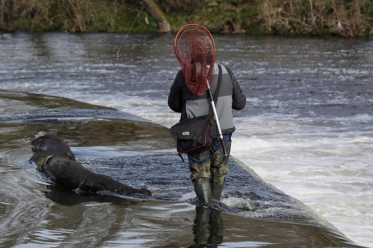 Un pescador camiña polo río, durante o primeiro día de tempada de pesca fluvial. Carlos Castro - Europa Press - Arquivo 