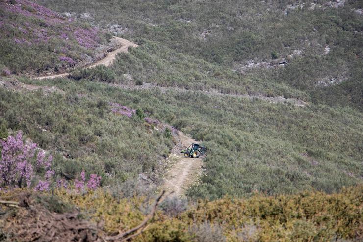 Tarefas de prevención de incendios en Cualedro. XUNTA 