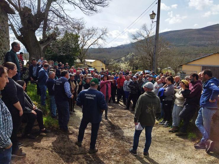 Protesta de gandeiros en Mazaneda polo sacrificio de vacas nunha granxa. SLG / Europa Press