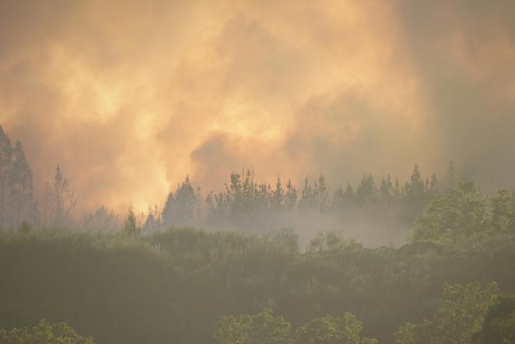 Arquivo - Fume provocado por un incendio forestal na parroquia de Belesar, a 6 de agosto de 2023, en Vilalba, Lugo, Galicia (España). Varios medios de extinción, terrestres e aéreos, foron mobilizados na noite do domingo 6 de agosto a este luns 7. Gustavo da Paz - Europa Press - Arquivo / Europa Press