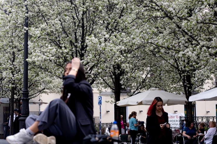 Varias persoas pasean xunto a árbores en flor durante o primeiro día de primavera, a 20 de marzo de 2024, en Madrid 
