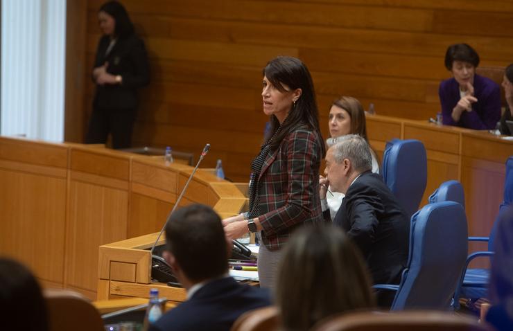 A conselleira de Vivenda e Planificación de Infraestruturas, María Martínez Allegue, no pleno do Parlamento. XUNTA DE GALICIA / Europa Press