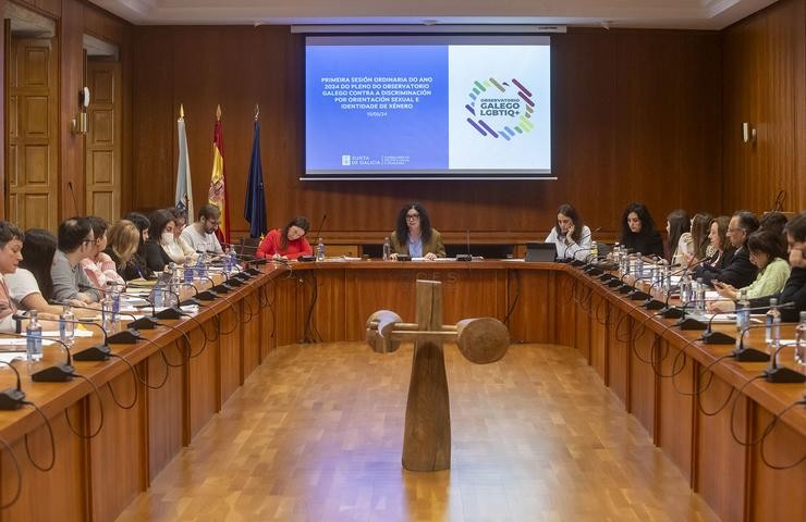 A directora xeral de Promoción dá Igualdade, María Quintiana, preside o pleno do Observatorio Galego contra a Discriminación por Orientación Sexual e Identidade de Xénero (Observatorio LGBTIQ+).. XUNTA / Europa Press