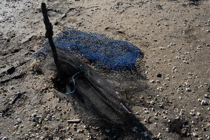 Unha rede de peixe na enseada de San Simón, Rías Baixas, a 17 de novembro de 2023, Pontevedra / Adrián Irago - Arquivo