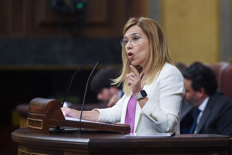 A vicesecretaria de Igualdade, Conciliación e Política Social do PP, Ana Alós intervén durante unha sesión plenaria. Gustavo Valente - Europa Press / Europa Press