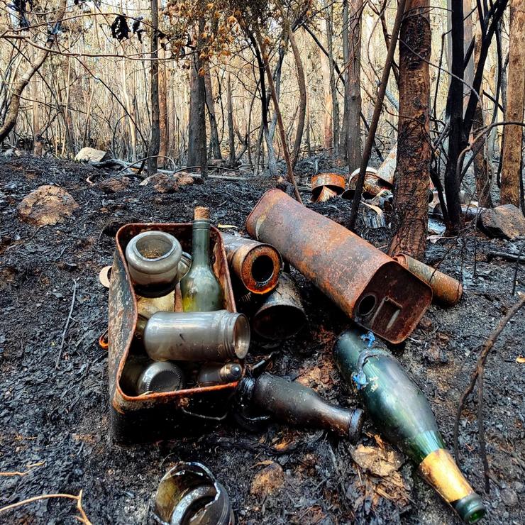 O monte de Rois case tres semanas despois do incendio forestal que arrasou 130 hectáreas 