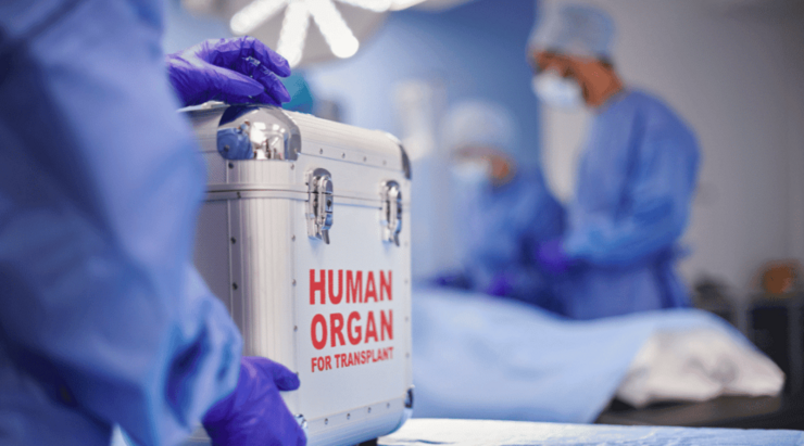 O transplante de órganos