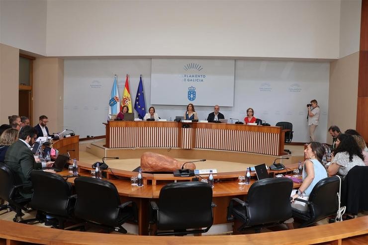 Imaxe da Comisión 2ª deste venres.. PARLAMENTO DE GALICIA / Europa Press