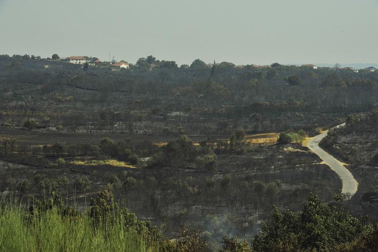  Zona queimada polo incendio de Cualedro / Rosa Veiga