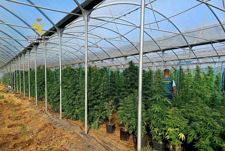A Garda Civil intervén 2 toneladas de marihuana en Melide / GARDA CIVIL