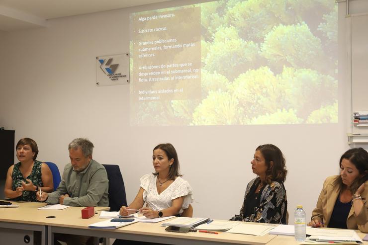 As directoras xerais de Patrimonio Natural e Desenvolvemento Pesqueiro presiden a primeira reunión do grupo de traballo sobre a alga Rugulopteryx okamurae. XUNTA / Europa Press