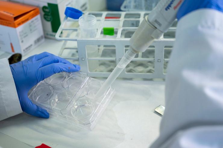Investigación do CSIC. CSIC / Europa Press
