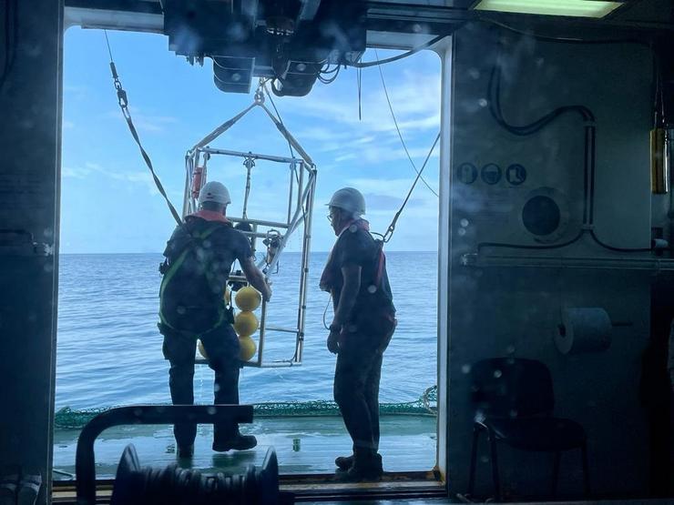 O IEO estimará a abundancia de lagostino en Galicia a través da toma de imaxes submarinas e mostraxes / IEO 