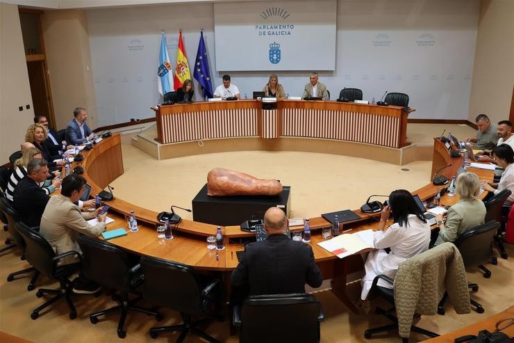 Comisión 6ª de Industria do Parlamento de Galicia. PARLAMENTO DE GALICIA / Europa Press