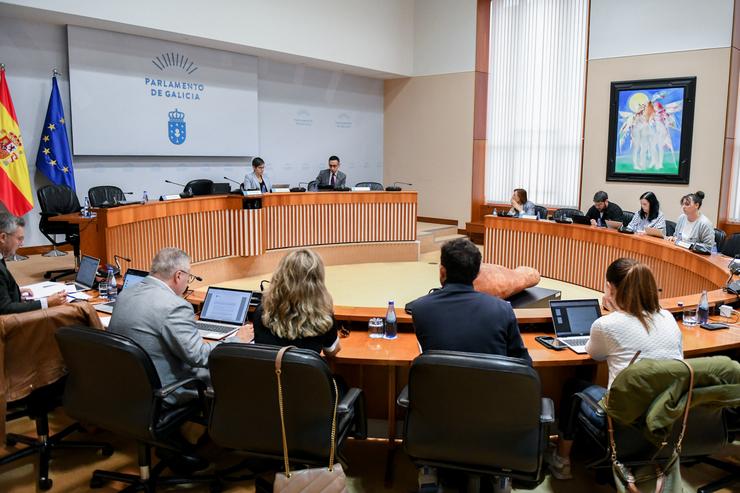 O director xeral de Pesca, Acuicultura e Innovación Tecnolóxica, Cándido Rial, comparece na Comisión 8ª de Pesca e Marisqueo.. XUNTA 