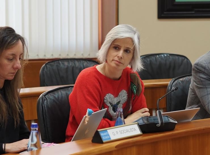 A portavoz de Economía e Industria do PSdeG no Parlamento de Galicia, Patricia Igrexas.. PSDEG / Europa Press
