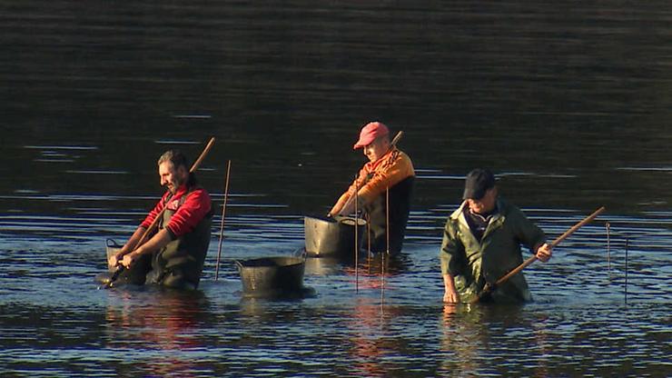 Mariscadores a pé / Arquivo