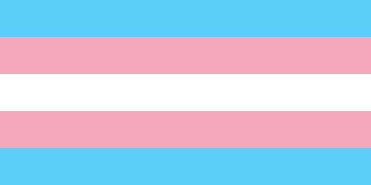 Bandeira do orgullo trans / Wikipedia - Arquivo