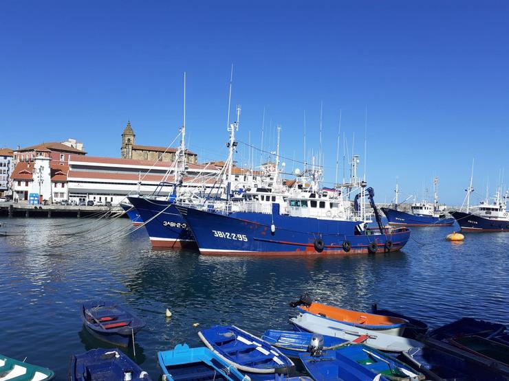 Barcos pesqueiros no porto 