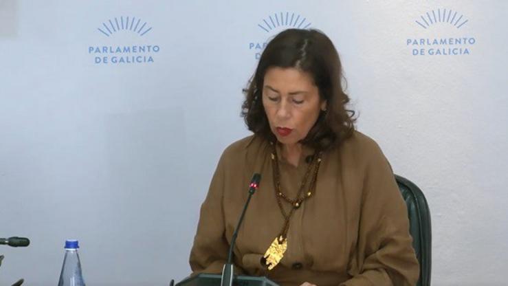A directora xeral, María Sol Díaz Mouteira, durante a celebración da comisión 
