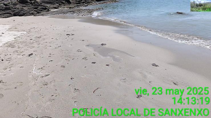 Restos aparecidos nunha praia de Sanxenxo 