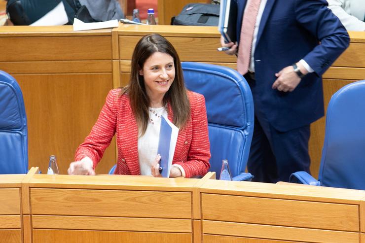 A conselleira do Medio Rural, María José Gómez, no Parlamento. ANA VARELA 
