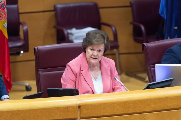 A presidenta do Tribunal de Contas, Enriqueta Chicano, durante a súa comparecencia ante a Comisión Mixta para as Relacións co Tribunal de Contas, no Senado, a 27 de maio de 2025 