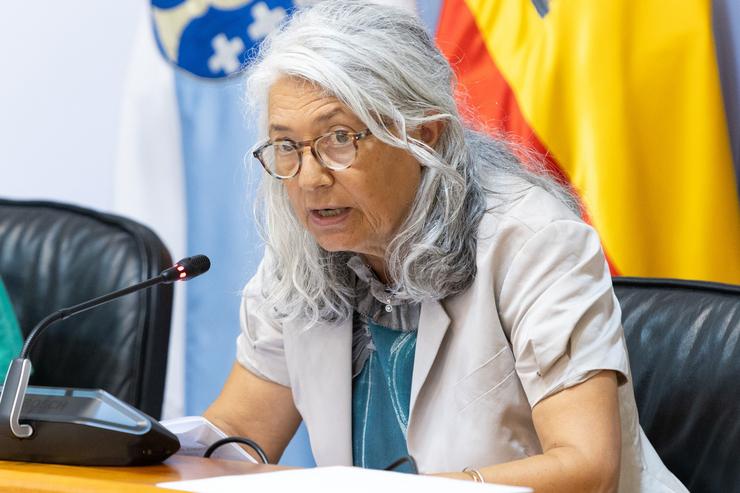 A directora xeral de Recursos Humanos do Sergas, Mar Pousa, na comisión 5ª do Parlamento galego.. XUNTA / Europa Press