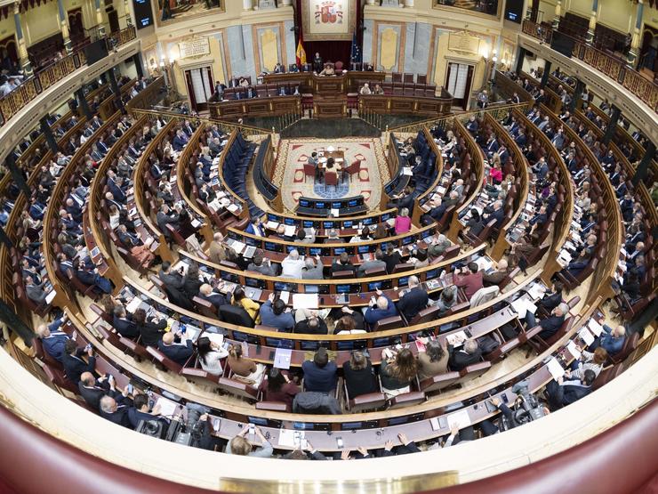 Vista xeral hemiciclo do Congreso, a 19 de decembro de 2024 / CONGRESO - Arquivo