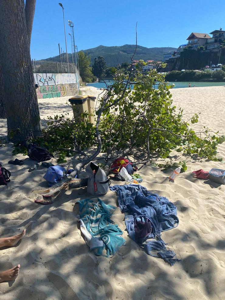 Ferida unha muller tras caerlle unha rama encima en Samil / PP DE VIGO