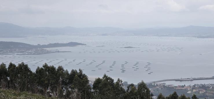 Bateas da ría de Arousa dende o miradoiro de Valle-Inclán, no monte da Curota, no concello da Pobra do Caramiñal / GC