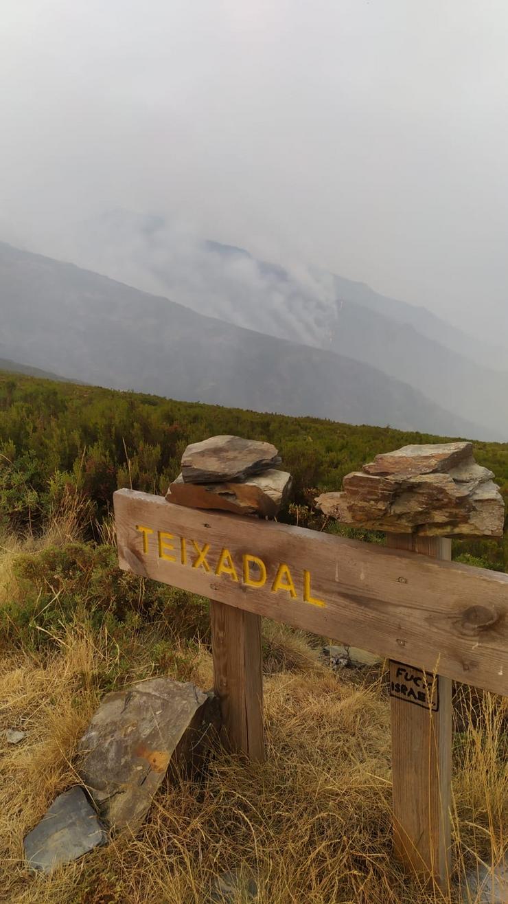 O Teixadal de Casaio ardendo 