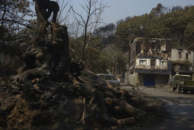 Vista tras o incendio en San Vicente de Leira, a 19 de agosto de 2025, en Villamartín de Valdeorras, Ourense, Galicia (España). Rosa Veiga - Europa Press / Europa Press