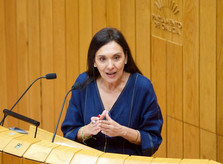 A deputada socialista Carmen Rodríguez Dacosta. PSDEG 