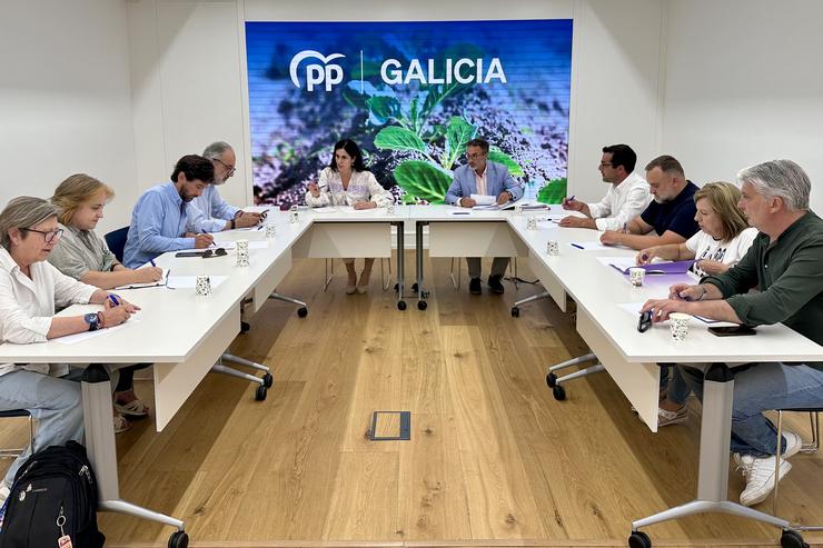 O PPdeG reúne aos seus representantes para abordar a reforma da PAC, en agosto de 2025 