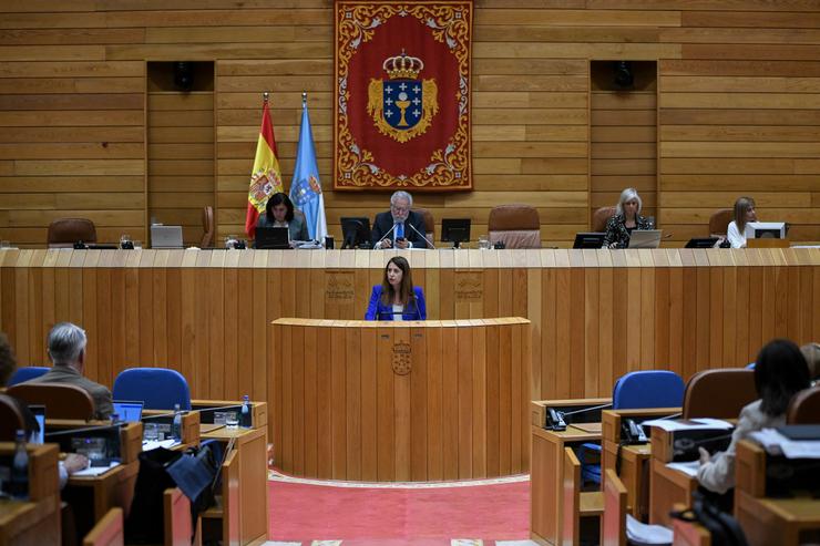 A conselleira do Medio Rural, María José Gómez, no pleno 