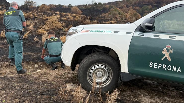 Investigado un octoxenario polo incendio de Chandrexa de Queixa do 8 de setembro,  iniciado por unha queima non autorizada.. GARDA CIVIL 