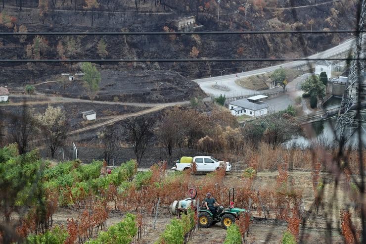 Efectos dos incendios en Ourense. Carlos Castro - Europa Press 