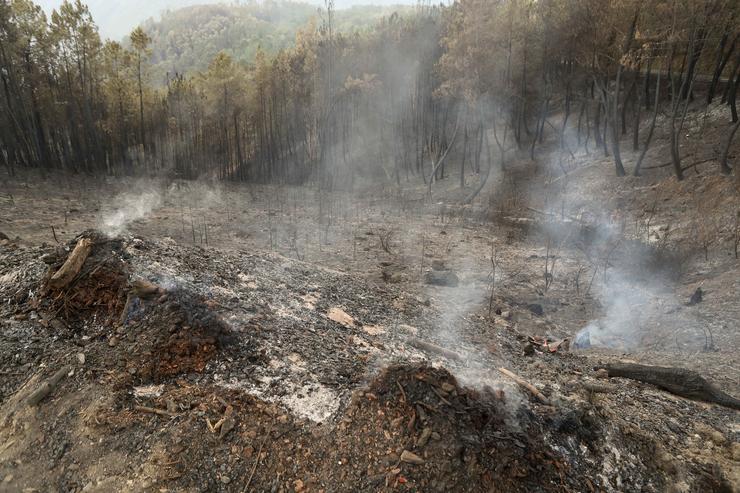 Zonas calcinadas polo incendio de Pontón durante a realización de labores de extinción do incendio de Pantón 
