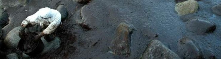 Unha voluntaria durante a limpeza do chapapote do Prestige